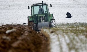 Scottish farming sector could reduce emissions by 38 per cent by 2045, finds WWF Scotland