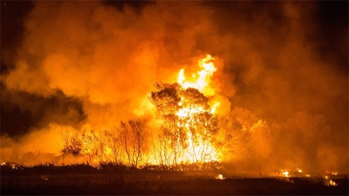 Fire service to start using controlled blazes in response to growing wildfire threat