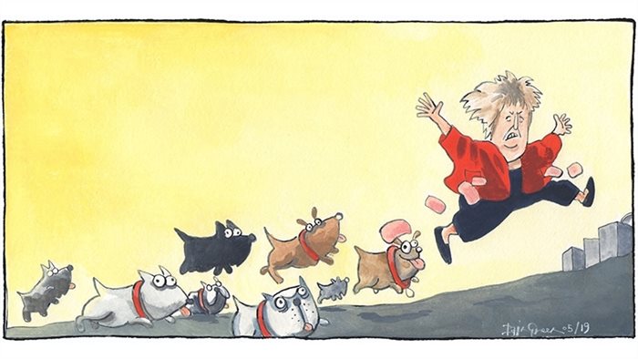 Sketch: The Holyrood Dog of the Year 2019
