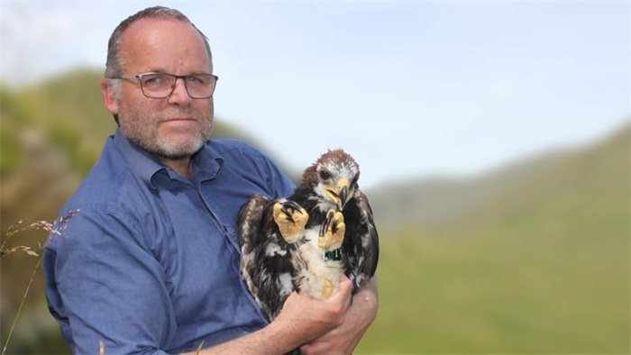 Golden eagle adopted by Green MSP Andy Wightman disappears in Highland Perthshire