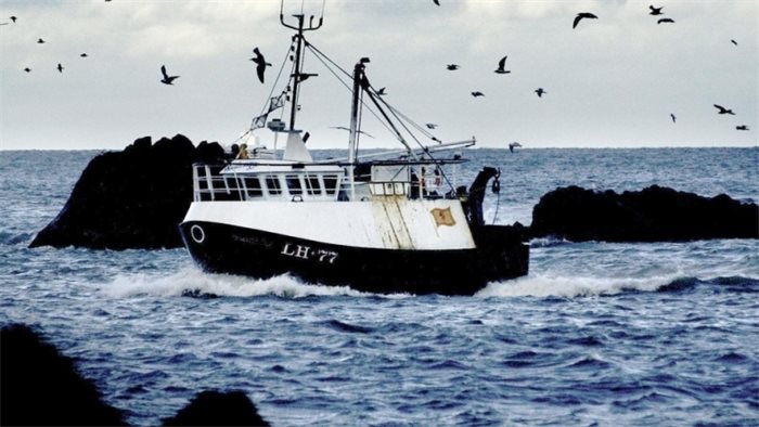 Scottish Greens urge ministers to restrict fishing access to West Shetland Shelf