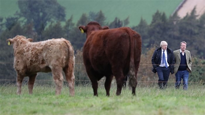 Alister Jack: the Scottish Tory MPs are making a difference in Westminster