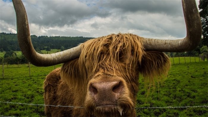 SNP accused of “class war” over land reform