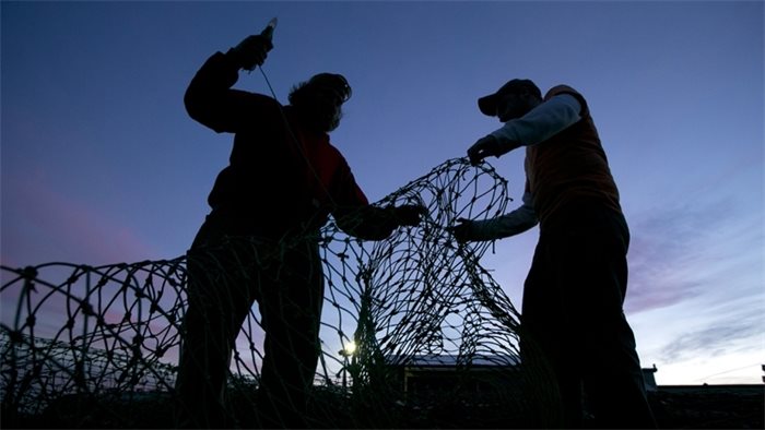 Mussel production reaches record level