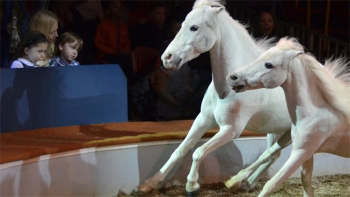 Circus animal ban gains overwhelming support
