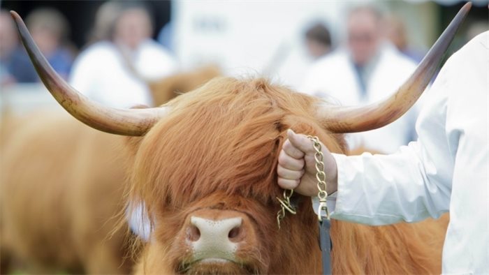 Holyrood talks to Royal Highland Show chairman Willie Gill