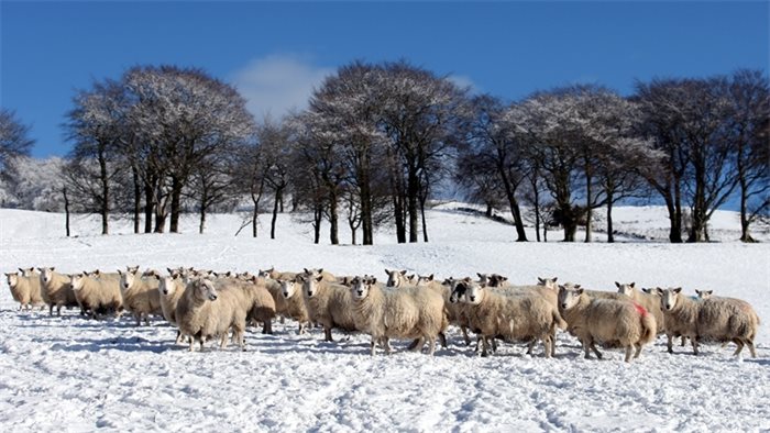 Scottish Government launches consultation on land use engagement