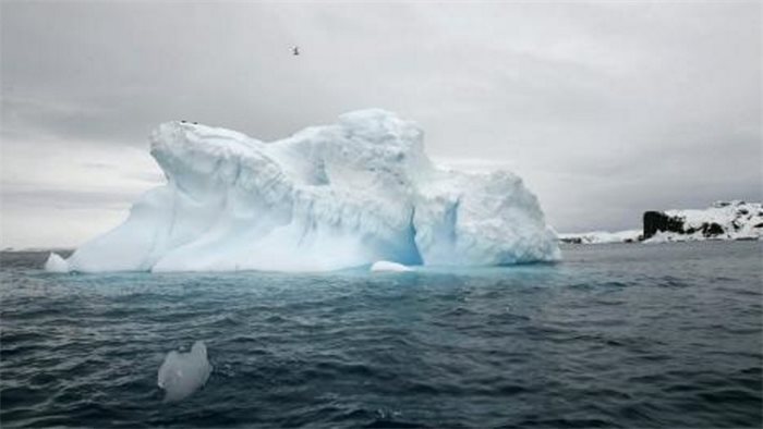 World gathers to fight climate change