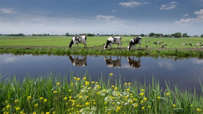 Professor Cathy Dwyer named chair of Scotland's new Animal Welfare Commission