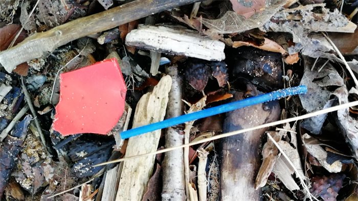 Plans to ban sale of single-use plastics published