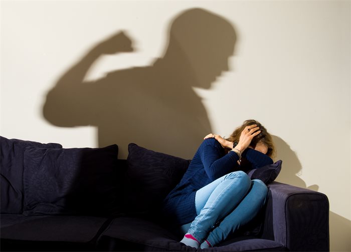 MSPs express 'serious concerns' over new domestic abuse legislation