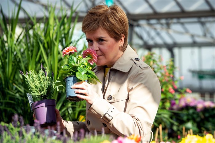 Nicola Sturgeon rejects Alex Salmond demand to start immediate independence negotiations