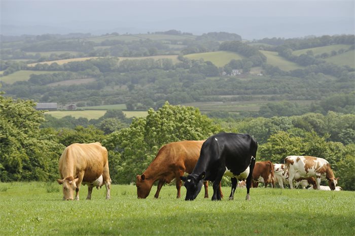 Prime Minister warned not to 'betray' farmers as post-Brexit talks with Australia intensify