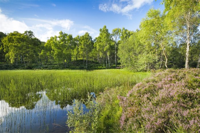 NatureScot launches next phase of £1.25m digital project to improve access to information on protected natural areas