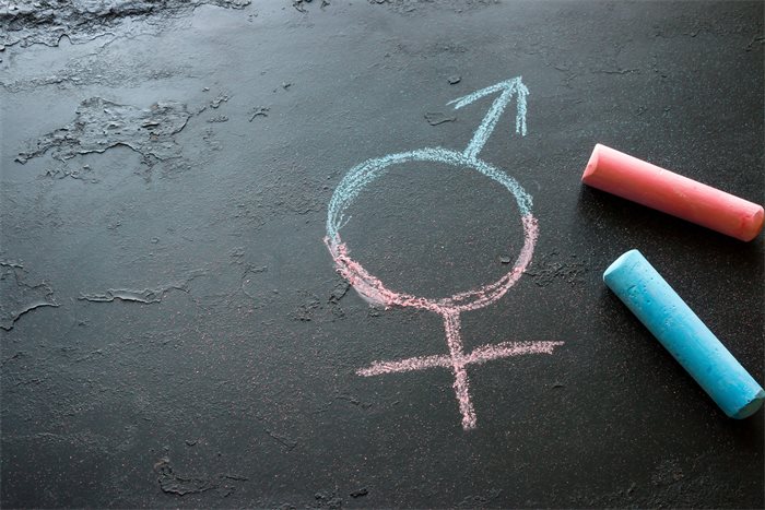 Scottish Government publishes school guidance on trans pupils