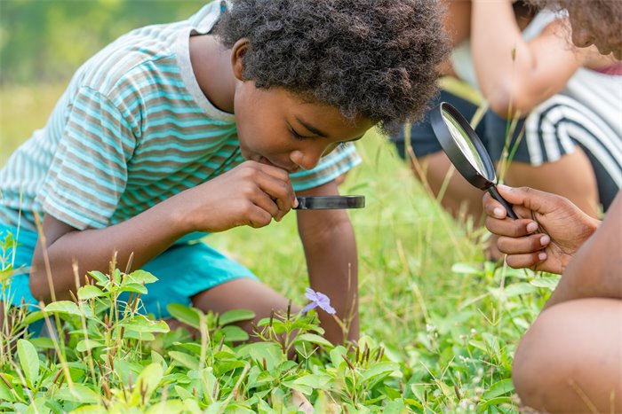 Scottish schools must teach biodiversity, experts say