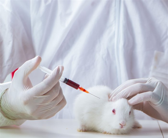 Associate feature: Phasing out animal testing would benefit Scotland