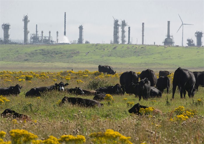 UK ministers underline commitment to Scottish carbon capture project