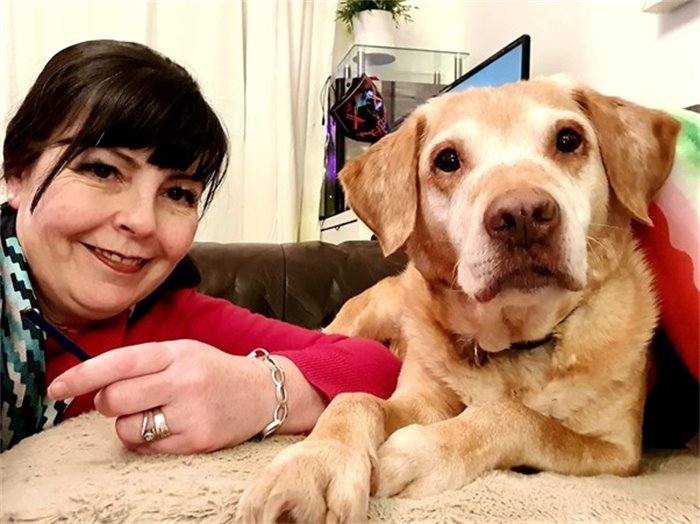 Politicians and their Pets: Stephanie Callaghan, her dog Tilly and cats Loki and Indy