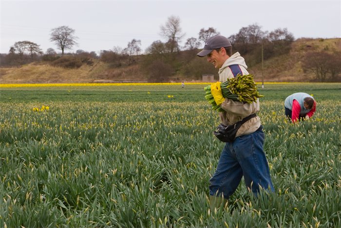 Ukrainian ex-farm workers to staff new advice hub for seasonal labourers in Scotland