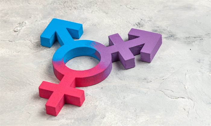 Scotland ‘at risk’ of falling behind on trans equality if GRA not reformed, MSPs told