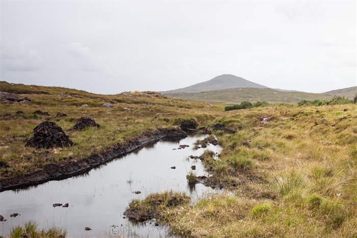 Associate Feature: Peatland restoration is a win for local communities, job creation, and nature and climate