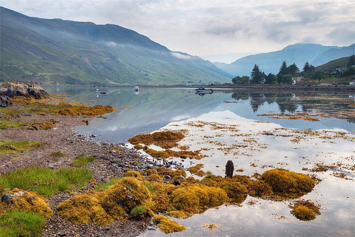 Associate Feature: Scotland’s land and natural capital – the time for just transition is now
