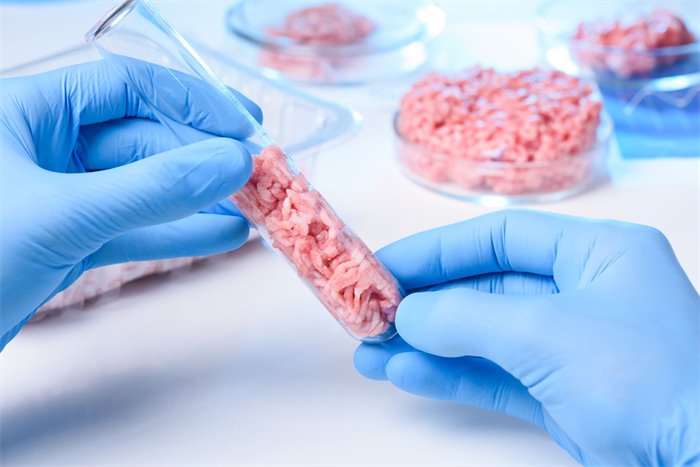 A meaty breakthrough for Scots researchers