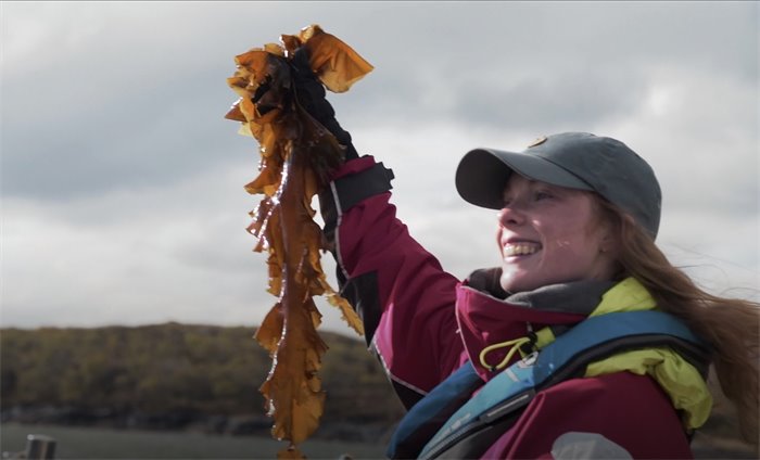 Seizing potential: Can seaweed grow a sustainable Scottish economy?