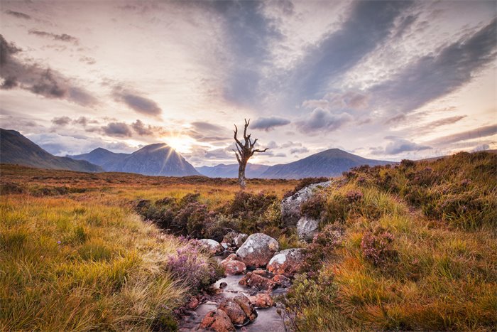 Restoring nature and biodiversity is the key to tackling the climate crisis