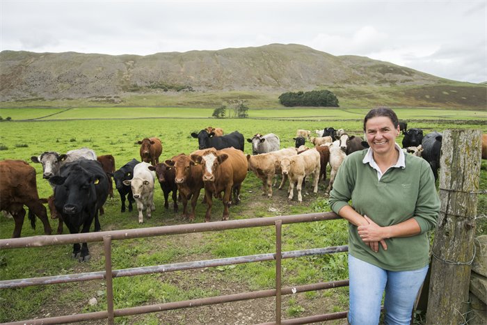 Associate Feature: How we as the Scottish red  meat industry are going to  tackle climate change, practically