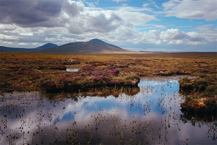 CivTech Scotland launches Innovate for Nature on Finance Day at COP27