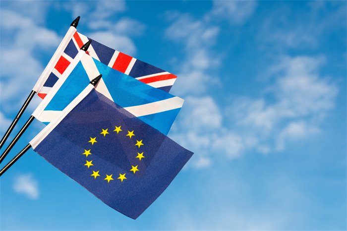 MSPs warn of ‘legal cliff edge’ from EU law bill