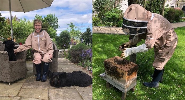 Councillor Juli Harris: Beekeeping and me