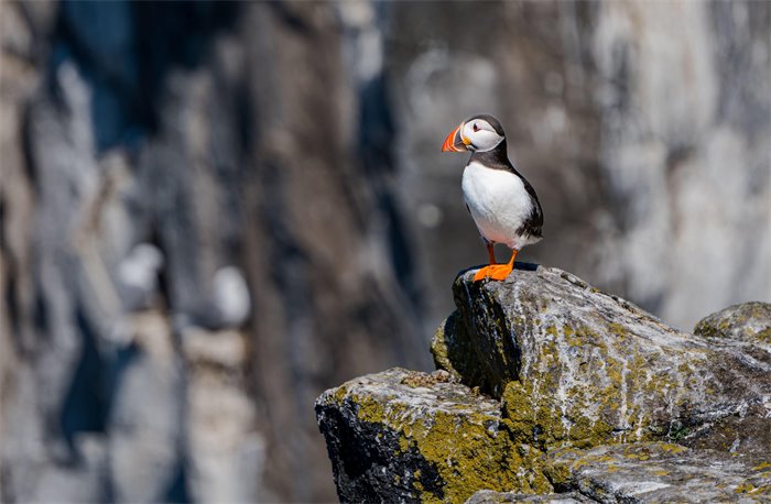 Scottish political leaders lack 'urgency' in tackling climate crisis, environment charities claim