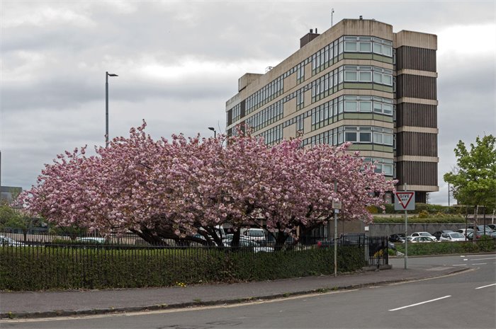 North Lanarkshire Council U-turns on decision to close facilities