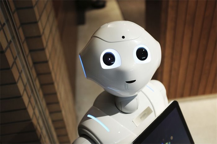 Robots could help ease loneliness in humans, study finds