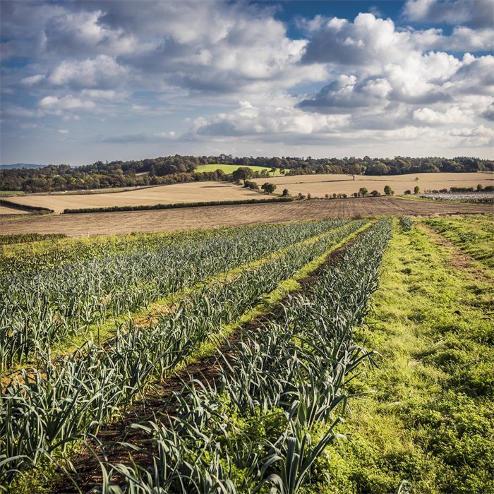 Associate Feature: The evolution of Scotland’s food and drink sector