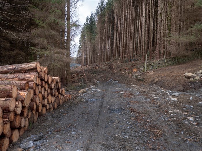 Why the 'ban' on wood-burning stoves ignores the needs of rural Scotland