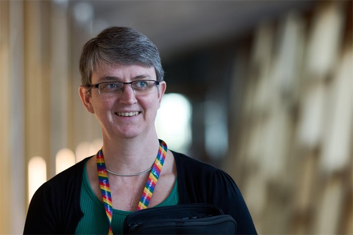 Maggie Chapman is an activist not a parliamentarian