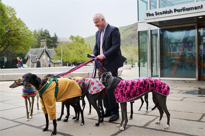 In Context: Prohibition of Greyhound Racing (Scotland) Bill