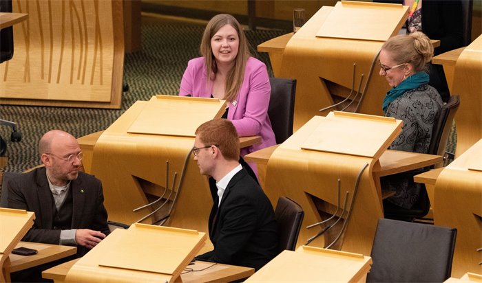 Greens at the races: Who are the co-leadership wannabes and what are their chances?