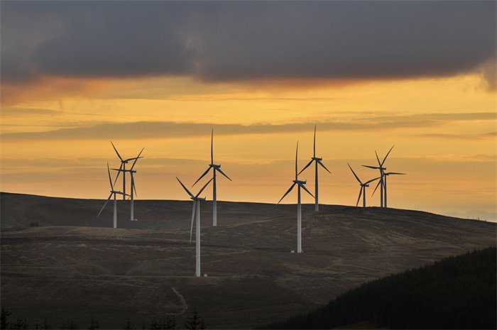 Renewable energy sources overtake coal in global energy mix