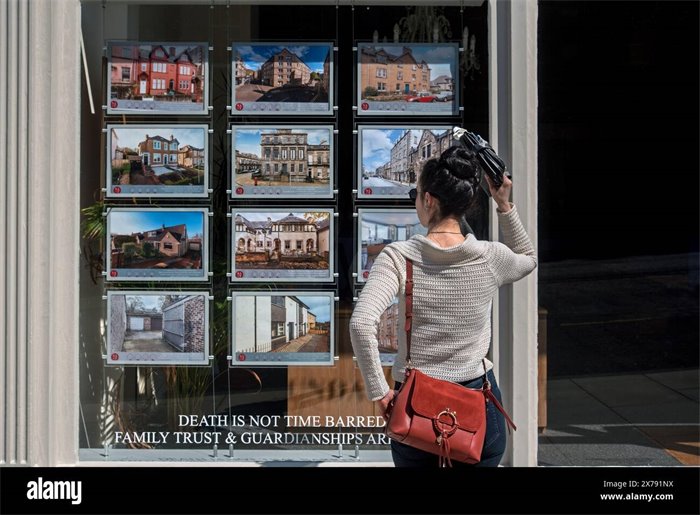 Scottish Government cladding levy could harm housing emergency, MSPs say