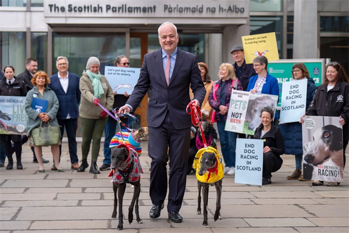 Rural affairs committee supports general principles of greyhound racing ban, but consensus not reached