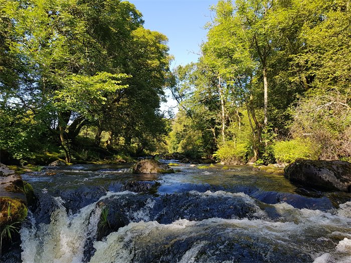 The Cost of Inaction to the Scottish Public Purse: Why Restoring Nature Is Now an Economic Necessity for Scotland
