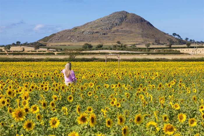 Supporting the growth of our rural economy and events sector