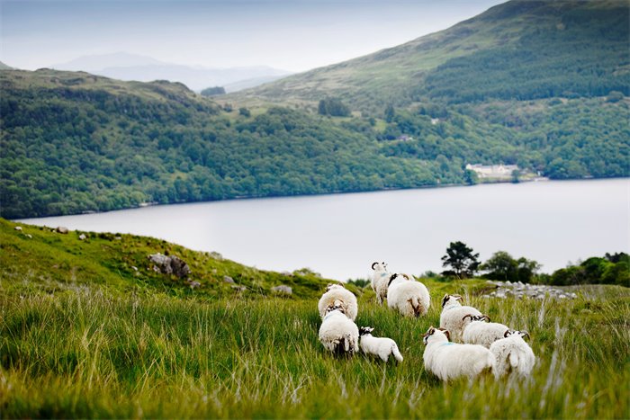 Why better environmental data matters for Scotland’s rural economy