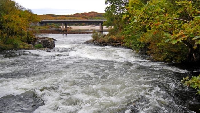 Scottish Government considers wild salmon fishing restrictions