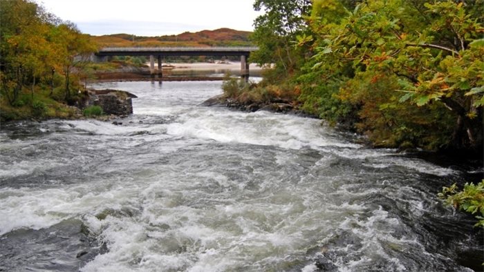 Killing wild salmon outside estuary limits prohibited for three years